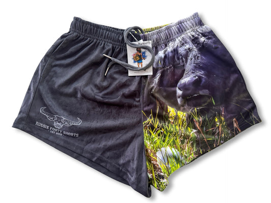 🔥NEW🔥 Wild Buffalo Footy Shorts (With Pockets)